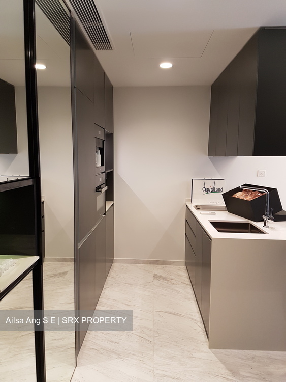 Cairnhill Nine (D9), Apartment #178271752